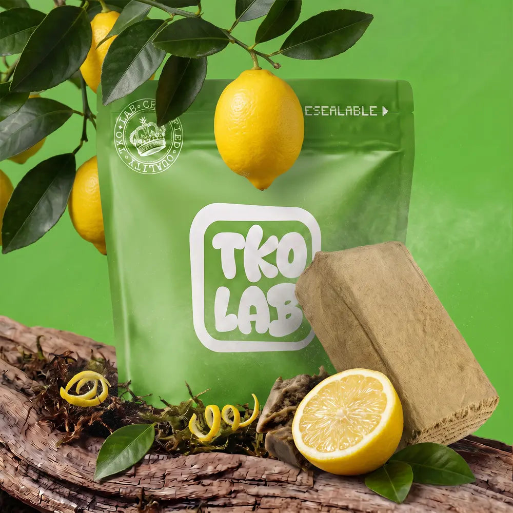 Lemon Tree L.A Mousse / THCA Hash Tea2