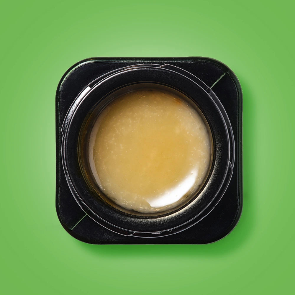 Gelato #41 / THCA Tea Extract0